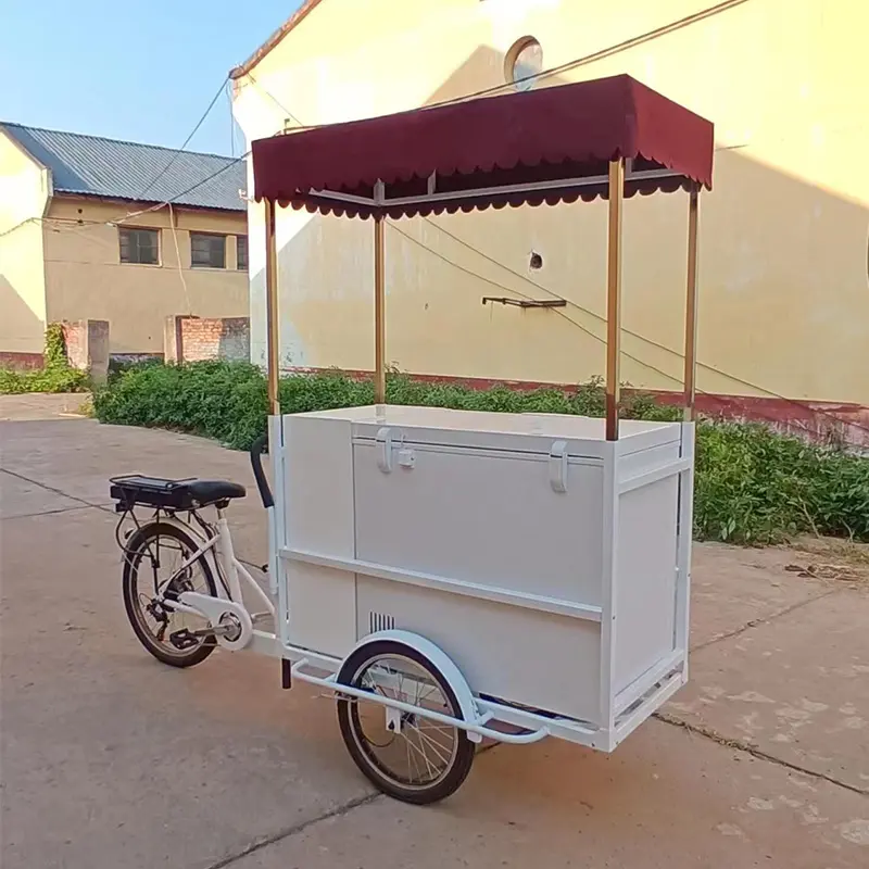 Basikal Troli Aiskrim Pedal Klasik